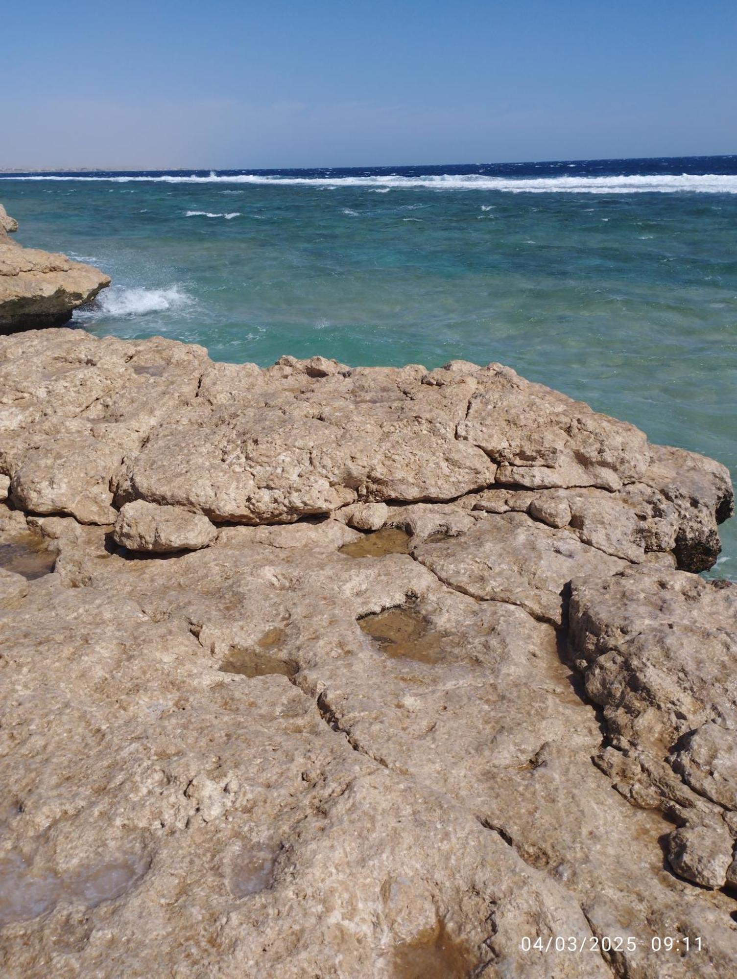 Oyster Bay Resort And Spa Marsa Alam Exteriör bild